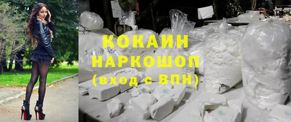 хмурый Бородино
