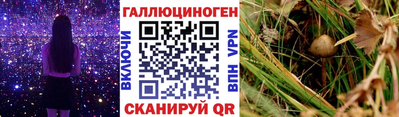 Псилоцибиновые грибы ЛСД  где можно купить наркотик  Донской 